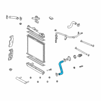 OEM 2001 Toyota Echo Lower Hose Diagram - 16572-21020