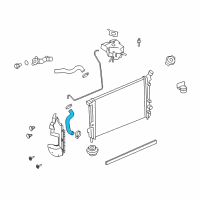 OEM 2006 Pontiac Montana Radiator Outlet Hose (Lower) Diagram - 19129861