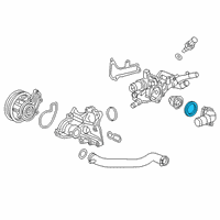 OEM 2016 Honda Fit Rubber, Thermostat Mounting Diagram - 19305-5R0-000