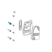 OEM 2006 Scion xB Socket Diagram - 81585-30290