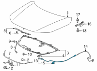 OEM Honda Civic WIRE ASSY-, FR- HOOD Diagram - 74131-T20-A01