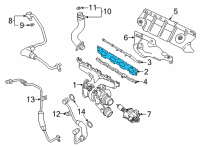 OEM 2020 BMW X2 Exhaust Manifold Gasket Diagram - 11-62-8-642-774