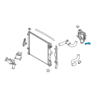 OEM 2020 Lexus LS500h Hose, Radiator To Reserve Diagram - 16567-31050