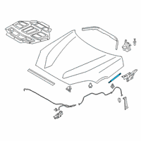 OEM 2022 BMW Z4 GAS SPRING FRONT FLAP, PASSI Diagram - 51-23-7-435-543