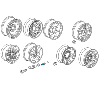 OEM 2007 Cadillac Escalade EXT Valve, Tire Diagram - 15128602