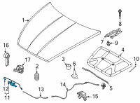 OEM 2022 Kia K5 Hood Latch Assembly Diagram - 81130L2000