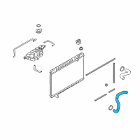 OEM 2013 Nissan GT-R Hose-Radiator, Lower Diagram - 21503-JF00A