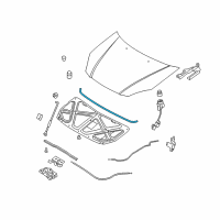 OEM 2007 Kia Rio5 Weatherstrip-Hood Diagram - 864311G000