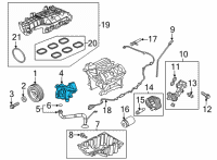 OEM 2020 Ford Transit-150 Oil Pump Diagram - HL3Z-6600-A