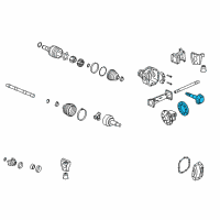 OEM Chevrolet Colorado Side Bearings Diagram - 25801719