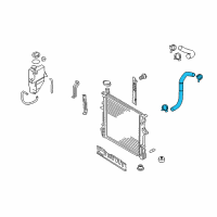 OEM 2009 Kia Borrego Hose-Radiator Lower Diagram - 254122J200