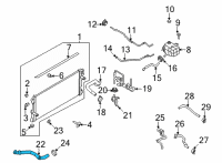 OEM 2022 Ford Bronco HOSE - RADIATOR Diagram - MB3Z-8286-C