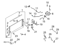 OEM Ford Overflow Hose Clamp Diagram - -W527333-S444