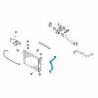 OEM 2009 Kia Rondo Hose-Radiator Lower Diagram - 254151D100