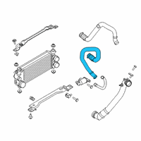 OEM 2017 Ford F-150 Lower Hose Diagram - HL3Z-6C646-A