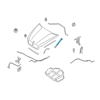 OEM 2014 BMW X6 Gas Pressurized Spring Diagram - 51-23-7-148-346