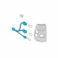 OEM Socket Diagram - 81555-0C010