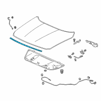 OEM 2021 Honda Accord Rubber, Hood Seal Diagram - 74142-TVA-A11