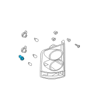 OEM 2004 Nissan Pathfinder Armada Rear Combination Lamp Socket Assembly Diagram - 26250-9B901
