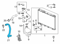 OEM 2021 Honda CR-V HOSE, WATER (LOWER) Diagram - 19502-5TZ-H01