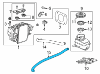 OEM 2022 Acura TLX HOSE, RESERVOIR TANK Diagram - 46673-TGV-A01