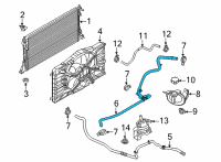 OEM Ford Mustang Mach-E HOSE Diagram - LJ9Z-8286-B