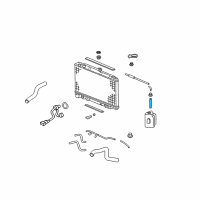 OEM Acura Hose, Reserve Tank Diagram - 19103-PVF-A00