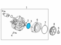 OEM Chevrolet Silverado Fuel Pump Assembly Seal Diagram - 12647917