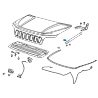 OEM 2019 Jeep Cherokee Hood Gas Cylinder Support Diagram - 68290461AA