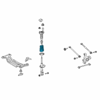 OEM Toyota Camry Coil Spring Diagram - 48231-06521