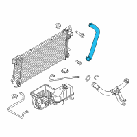 OEM Ford Upper Hose Diagram - BL3Z-8260-A