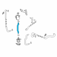 OEM Chevrolet Bolt EV Lower Hose Diagram - 42555271