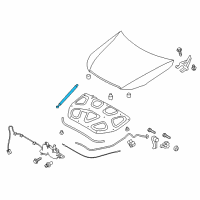 OEM 2016 Kia K900 LIFTER-Hood LH Diagram - 811613T000