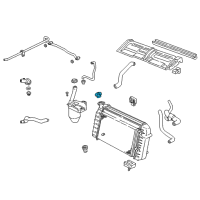 OEM Chevrolet Radiator Cap Diagram - 10316828