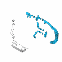 OEM Hyundai Hose Assembly-Oil Cooling Diagram - 25420-B1600