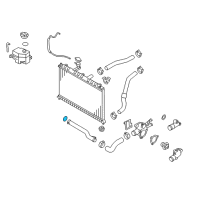 OEM Hyundai Elantra O-Ring Diagram - 25462-23000