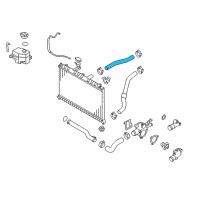 OEM 2007 Kia Rio Hose-Radiator Upper Diagram - 254111G000