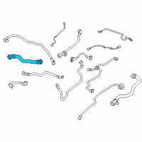 OEM 2017 BMW 530i Engine Radiator Hose Diagram - 17-12-8-602-638