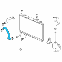 OEM Honda Accord Hose, Water (Lower) Diagram - 19502-6A1-H00