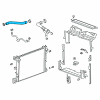 OEM Cadillac Lower Hose Diagram - 84065780