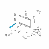 OEM Acura Hose, Water (Upper) Diagram - 19501-PND-000