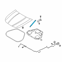 OEM Kia K900 Lifter-Hood Diagram - 81161J6000