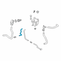 OEM Toyota Overflow Hose Diagram - 16261-0T190