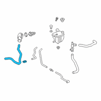 OEM 2022 Toyota Corolla Lower Hose Diagram - 16572-37190