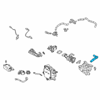 OEM 2020 Toyota Corolla Vent Hose Diagram - 12262-24020