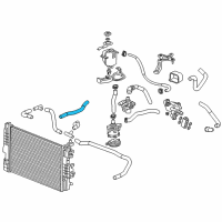 OEM 2015 Chevrolet Spark EV Lower Hose Diagram - 95281207