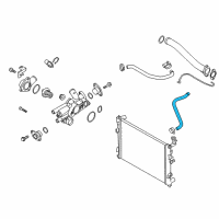 OEM Kia Forte Hose-Radiator Lower Diagram - 254121M100