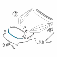 OEM 2019 BMW X1 Front Engine Hood Sealing Diagram - 51-76-7-329-384