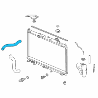 OEM 2017 Acura TLX Hose, Water (Upper) Diagram - 19501-RDF-A01