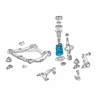 OEM Toyota Camry Coil Spring Diagram - 48131-06891